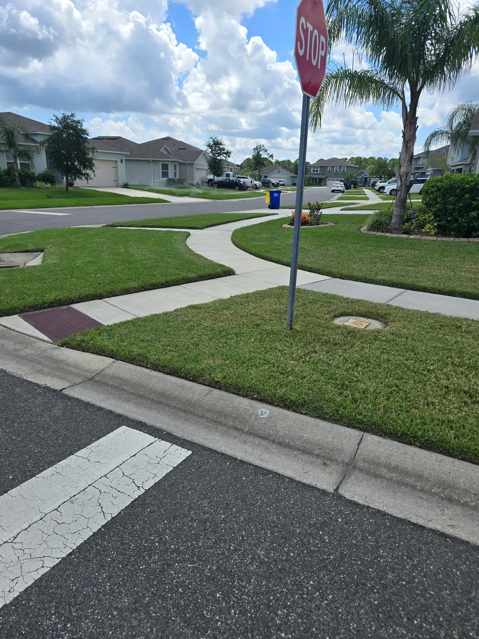 A freshly maintained corner-lot lawn with clean edges along curved sidewalks and the street.