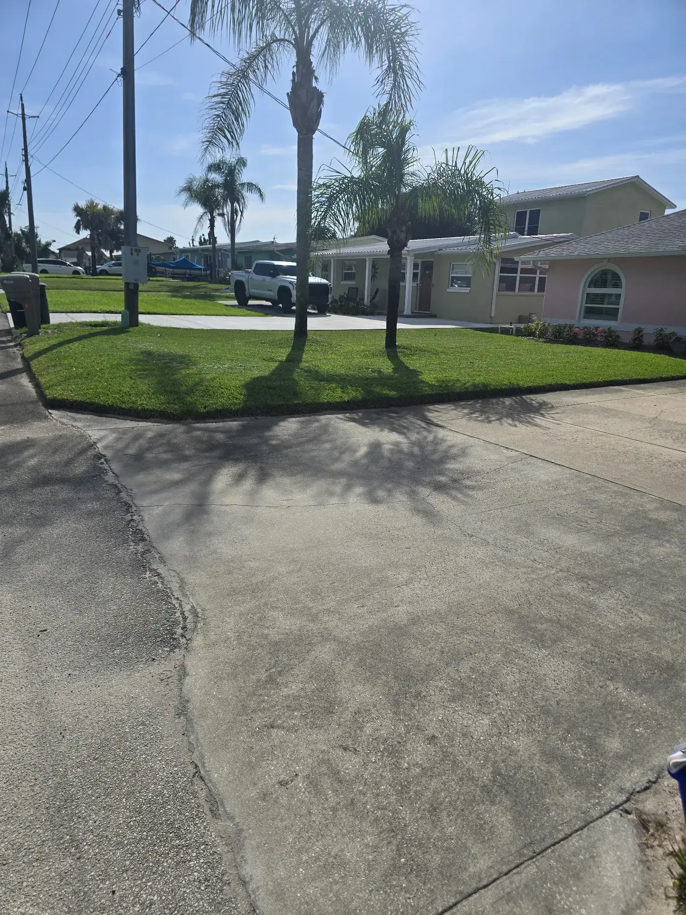 A neatly mowed residential front lawn with palm trees and a clean driveway edge.